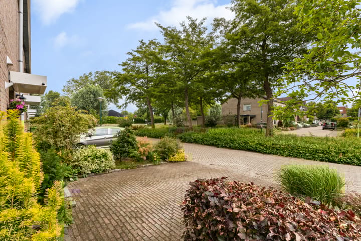 Foto 59 van Skûtsje 43