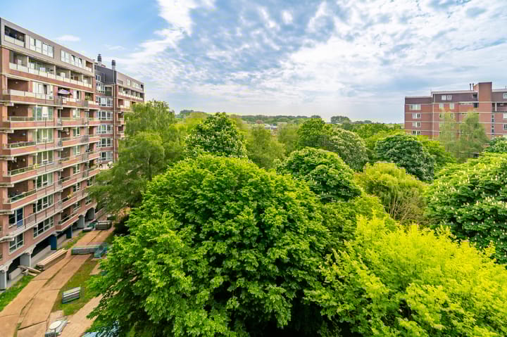 Photo 36 of Leksmondhof 20