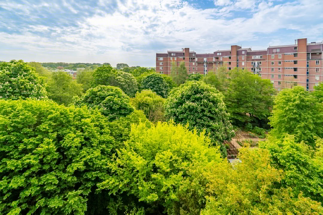 Foto 37 van Leksmondhof 20