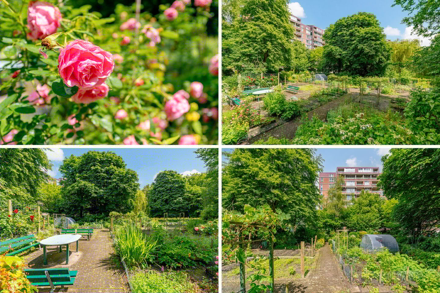 Foto 49 van Leksmondhof 20