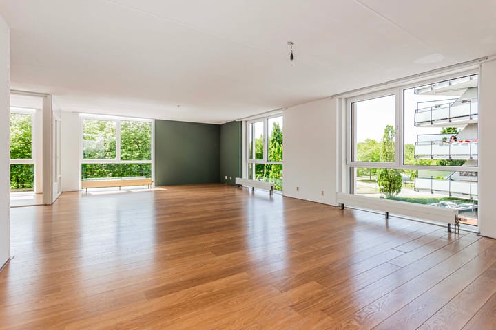 Foto 2 van Molenpolder 154