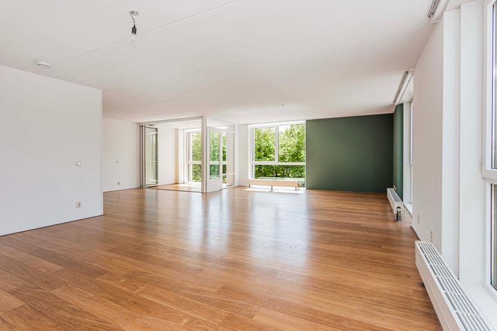 Foto 4 van Molenpolder 154