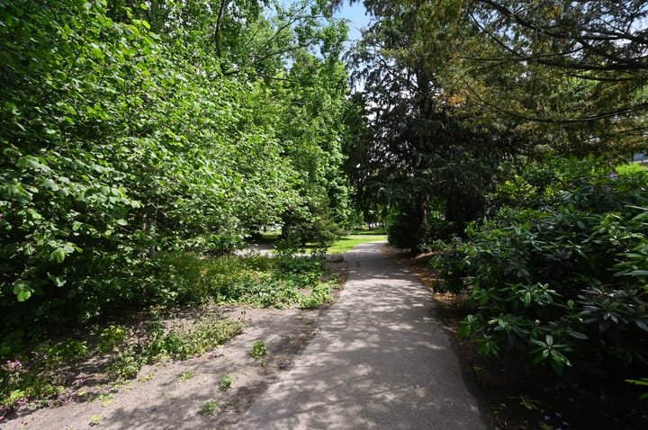 Foto 39 van Rozenstraat 44