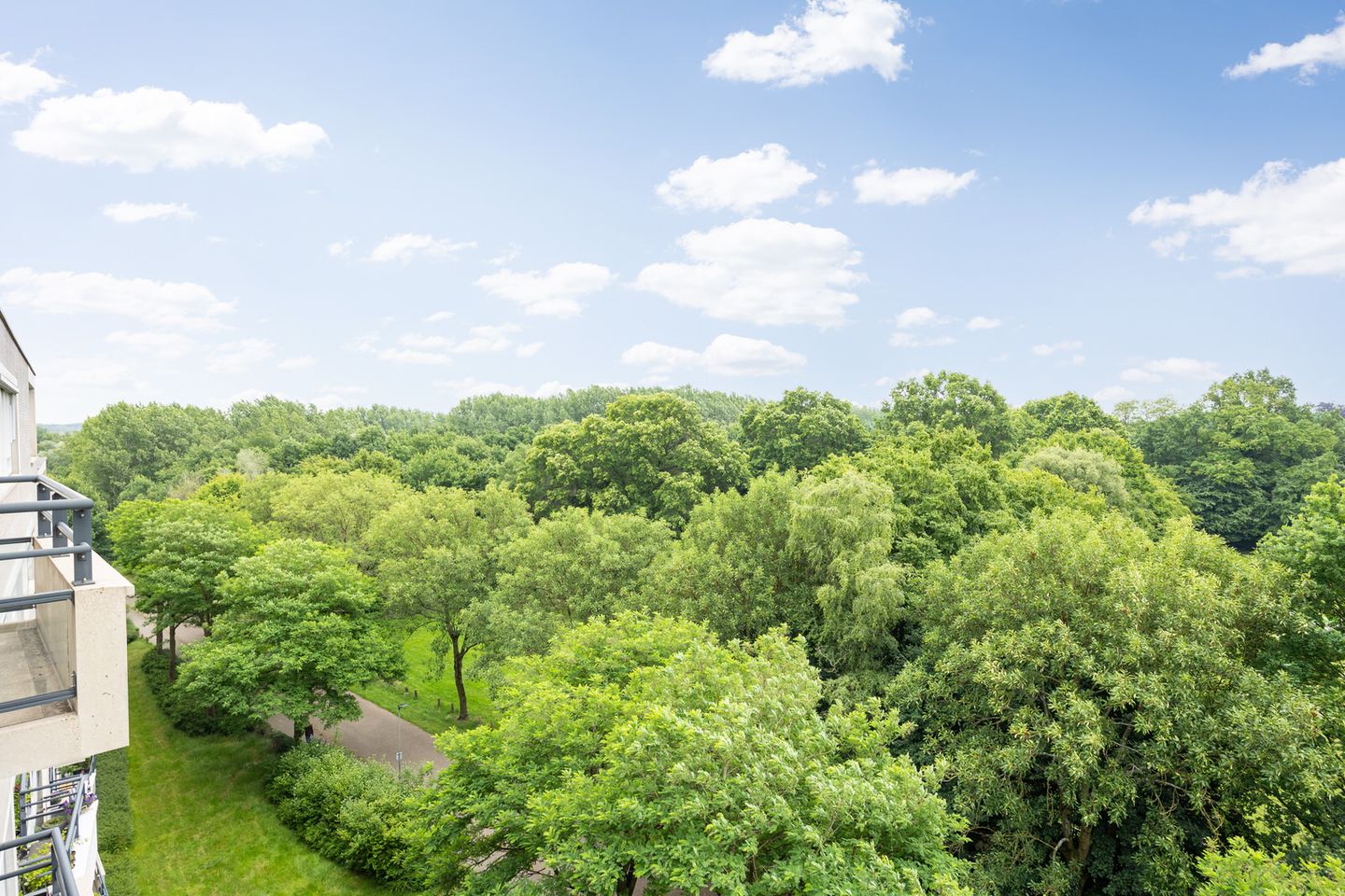 Photo 14 of Heunpark 4612