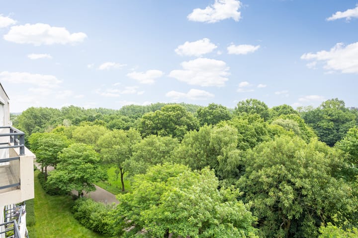 Foto 14 van Heunpark 4612