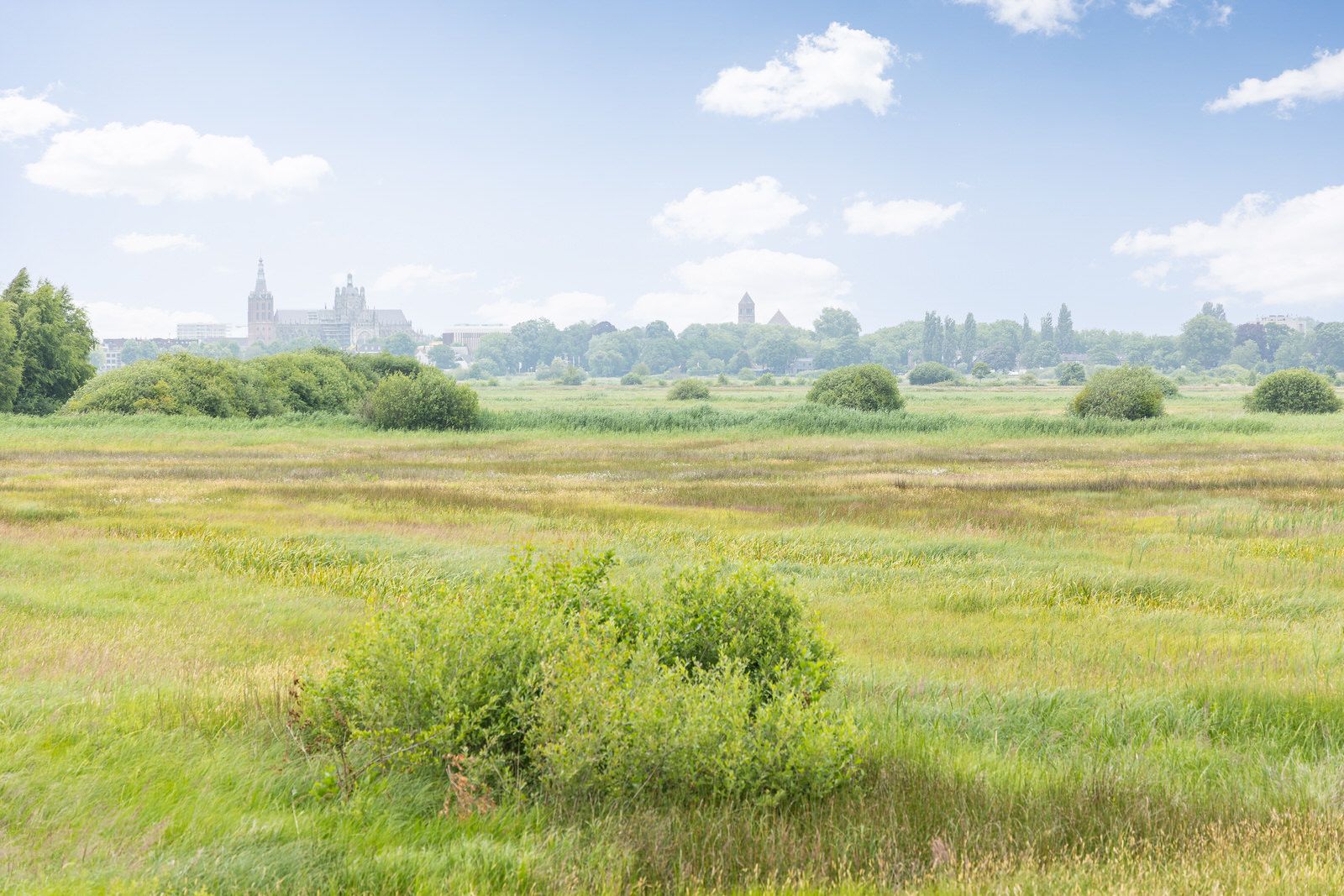 Photo 27 of Heunpark 4612