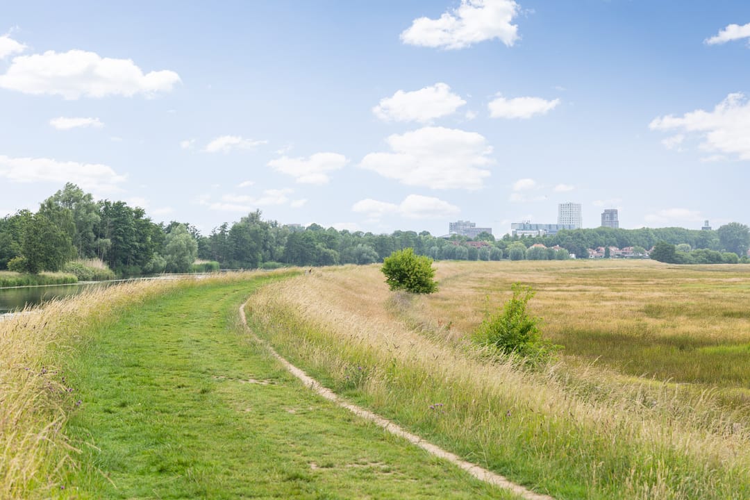 Photo 28 of Heunpark 4612