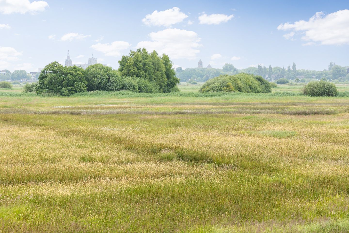 Photo 29 of Heunpark 4612