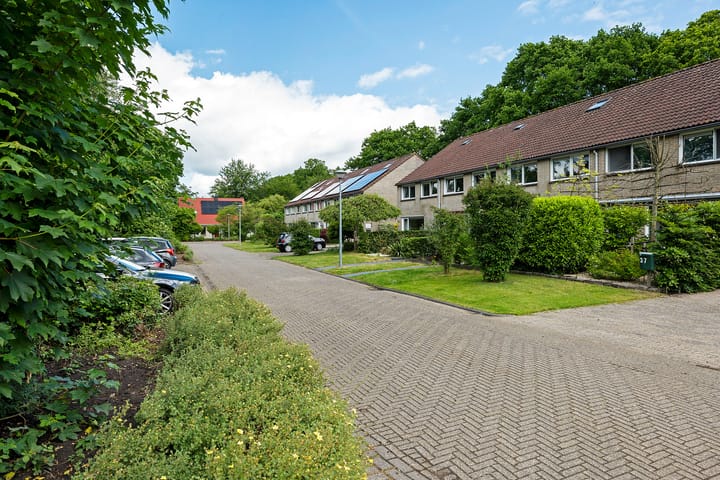 Foto 5 van Stelmaker 35