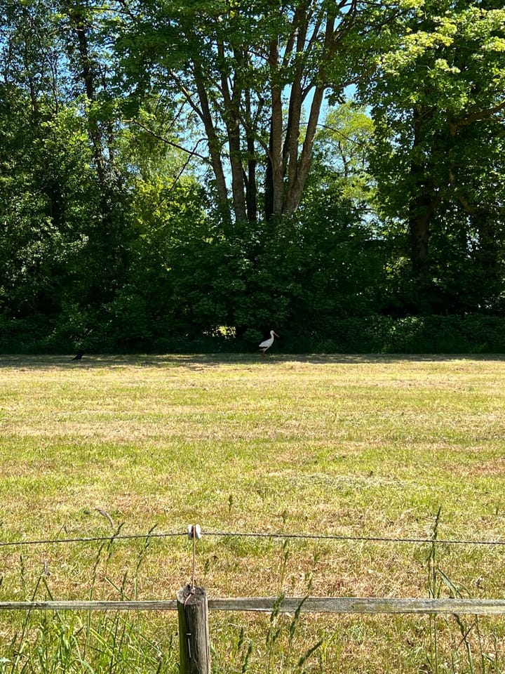 Foto 42 van Stelmaker 35