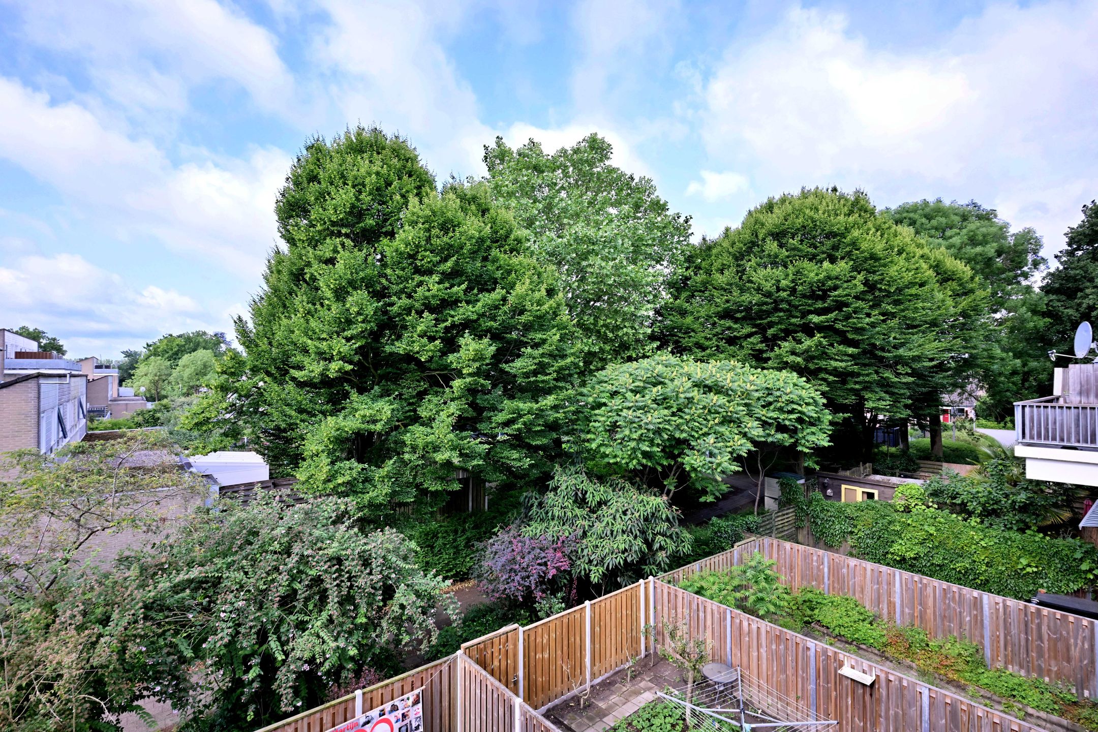 Foto 12 van Toutenburg 740