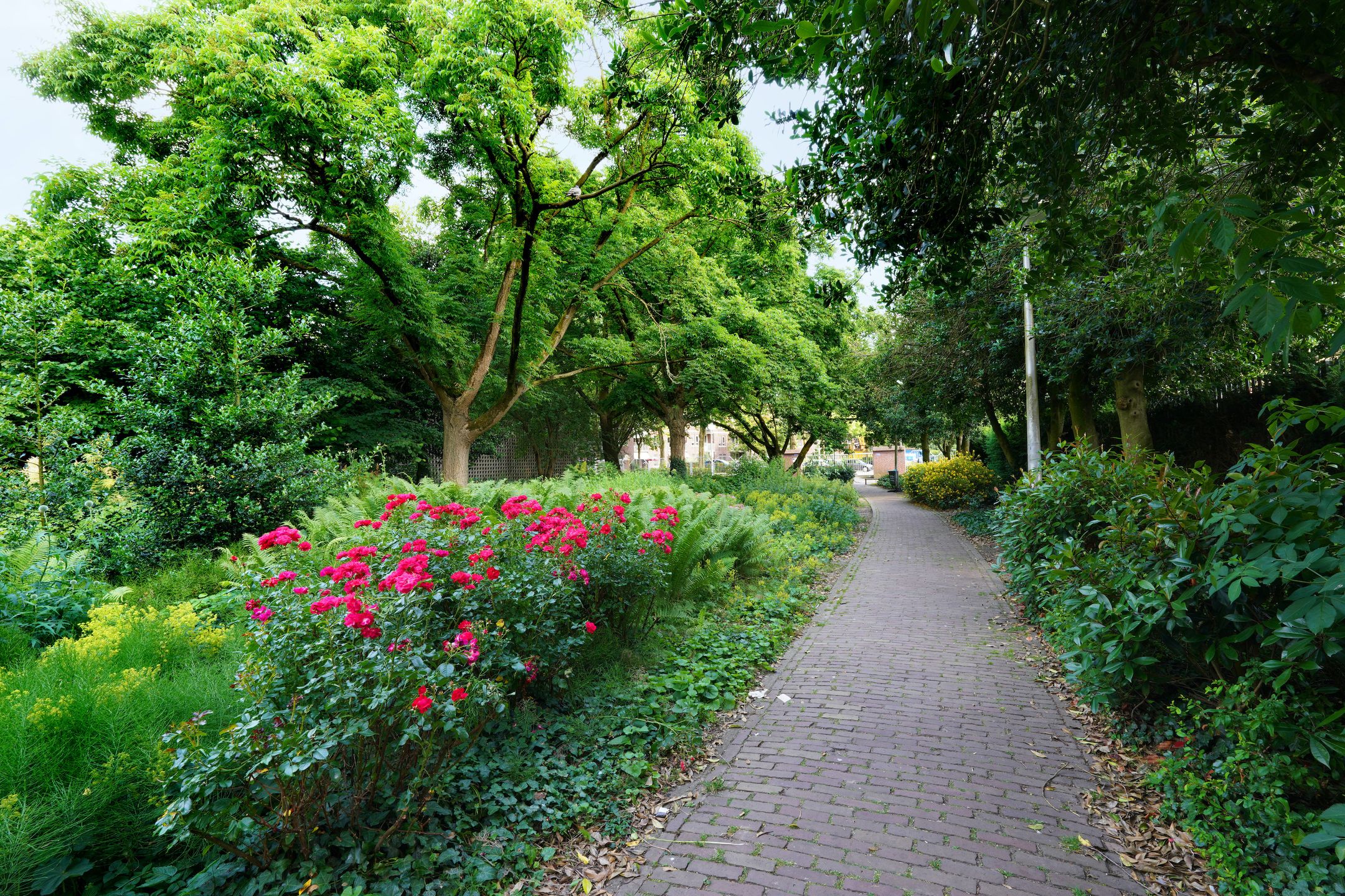 Foto 57 van Kloosterstraat 55