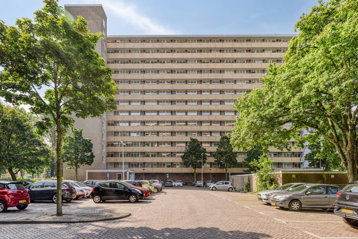 Foto 3 van Langswater 557