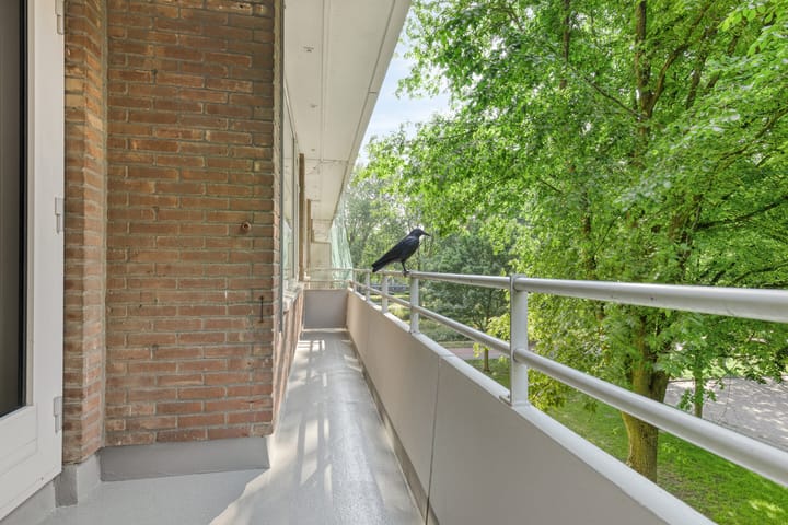 Photo 12 of Langswater 557