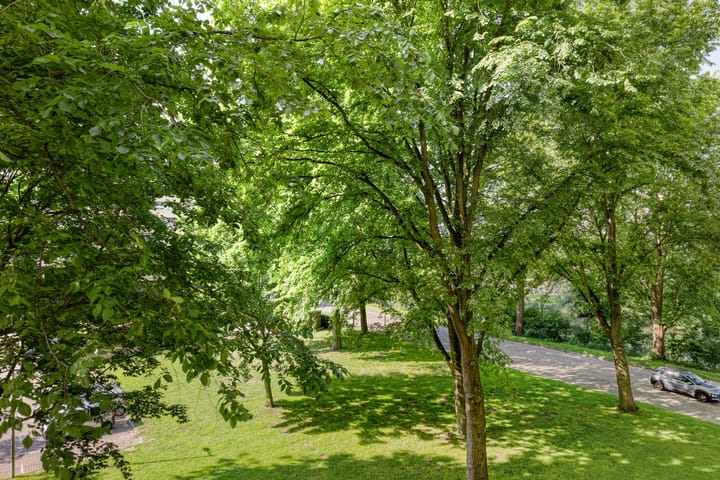 Photo 13 of Langswater 557