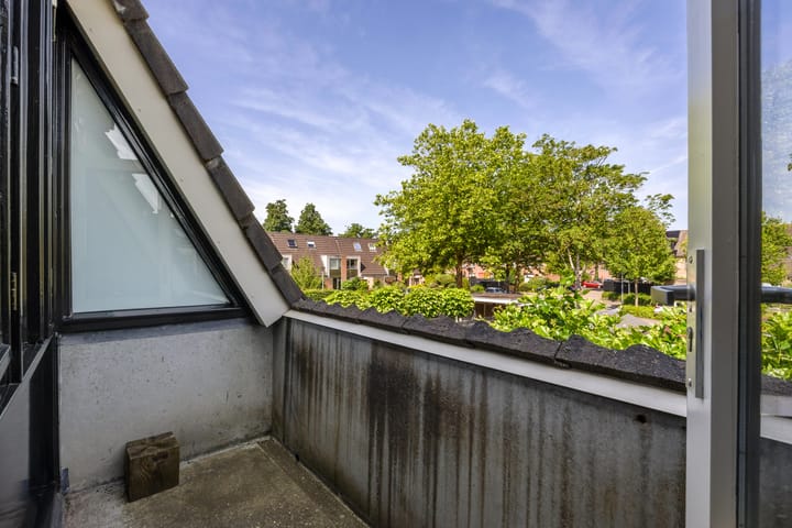 Photo 20 of Wildforster 63