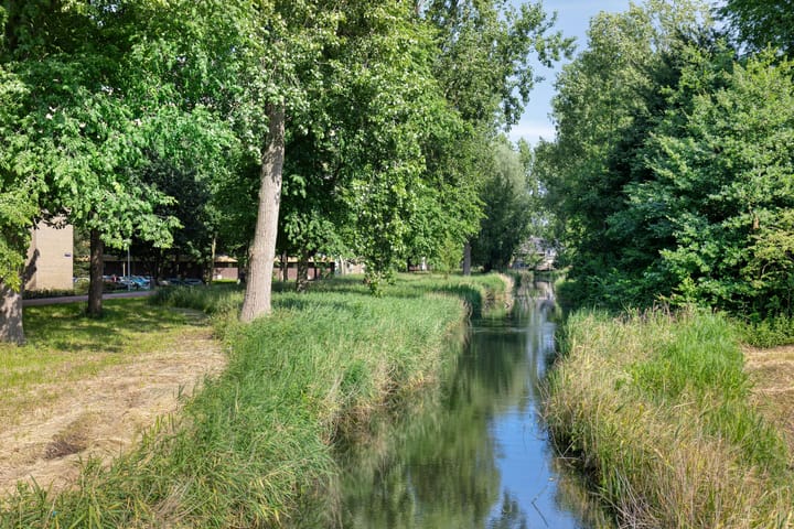 Photo 30 of Langswater 557