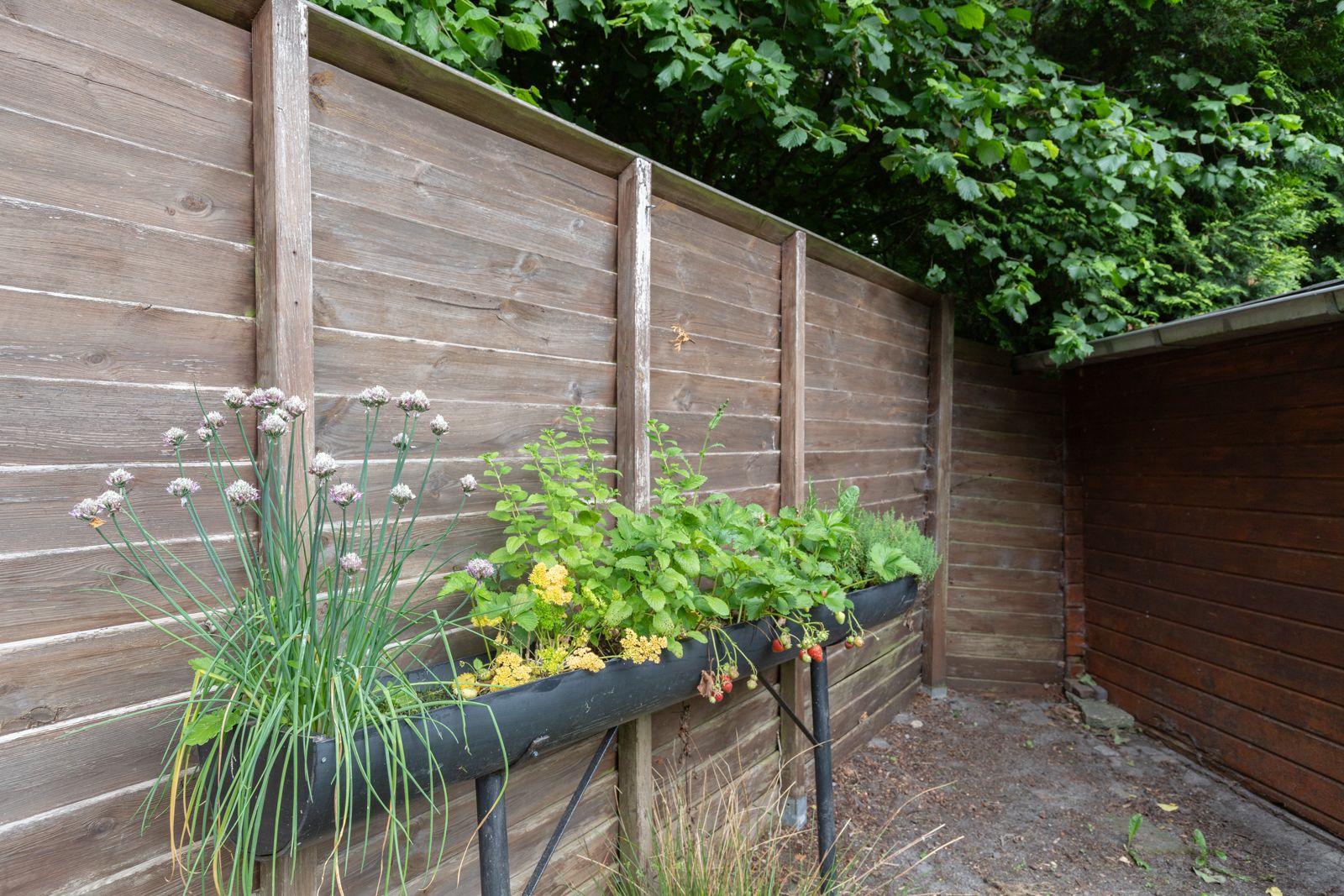 Foto 42 van Wezellaan 254