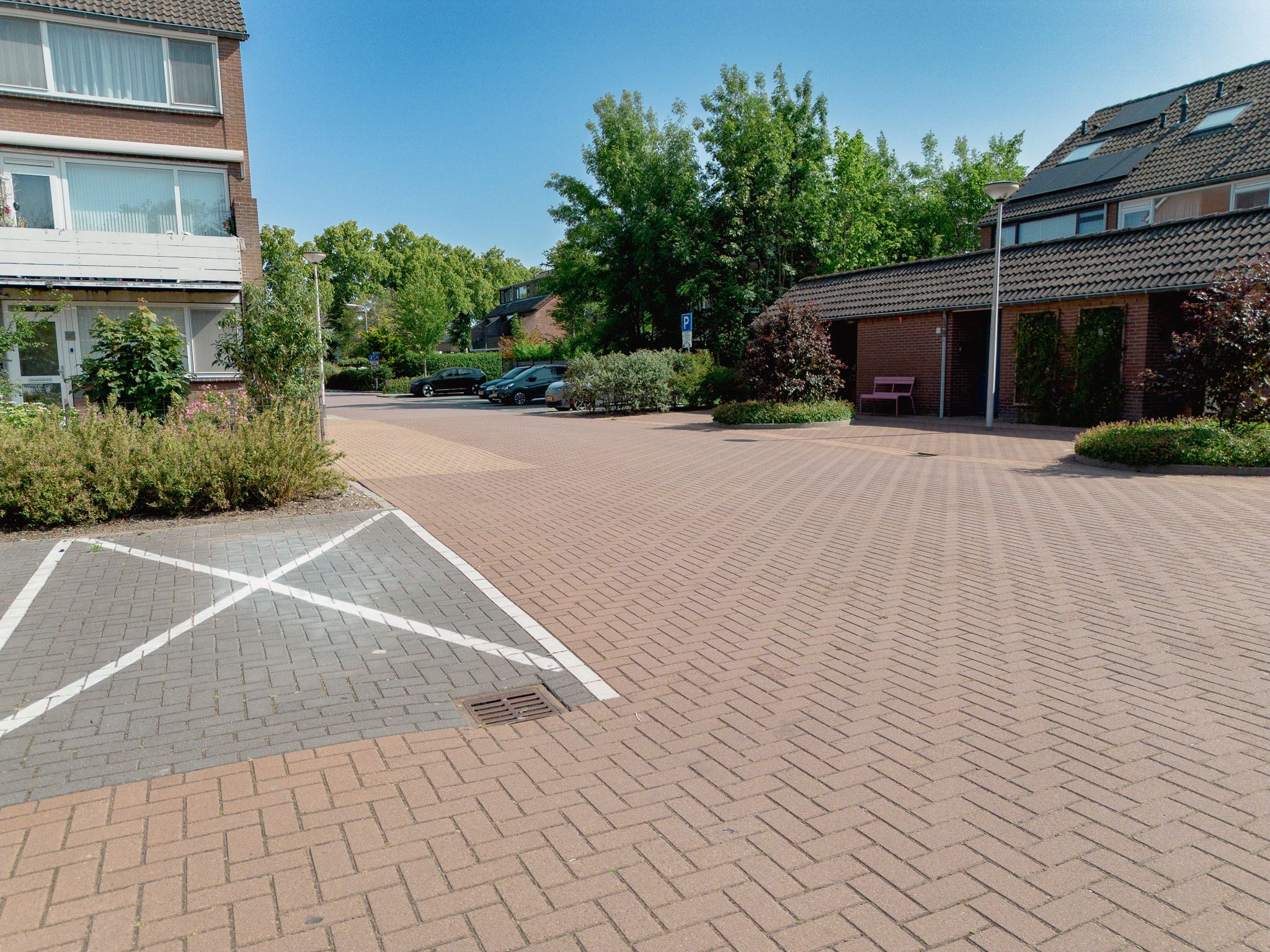 Foto 6 van De Esdoorn 17