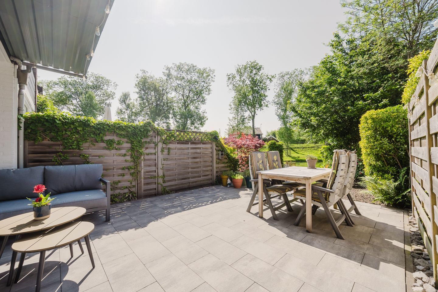 Foto 14 van De Esdoorn 17