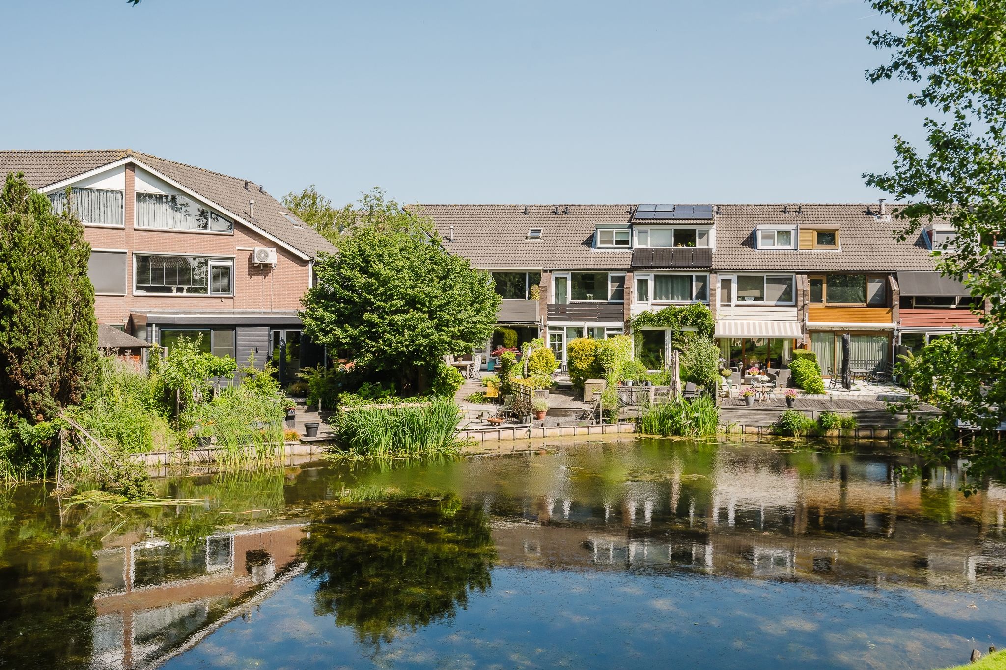 Foto 21 van De Esdoorn 17