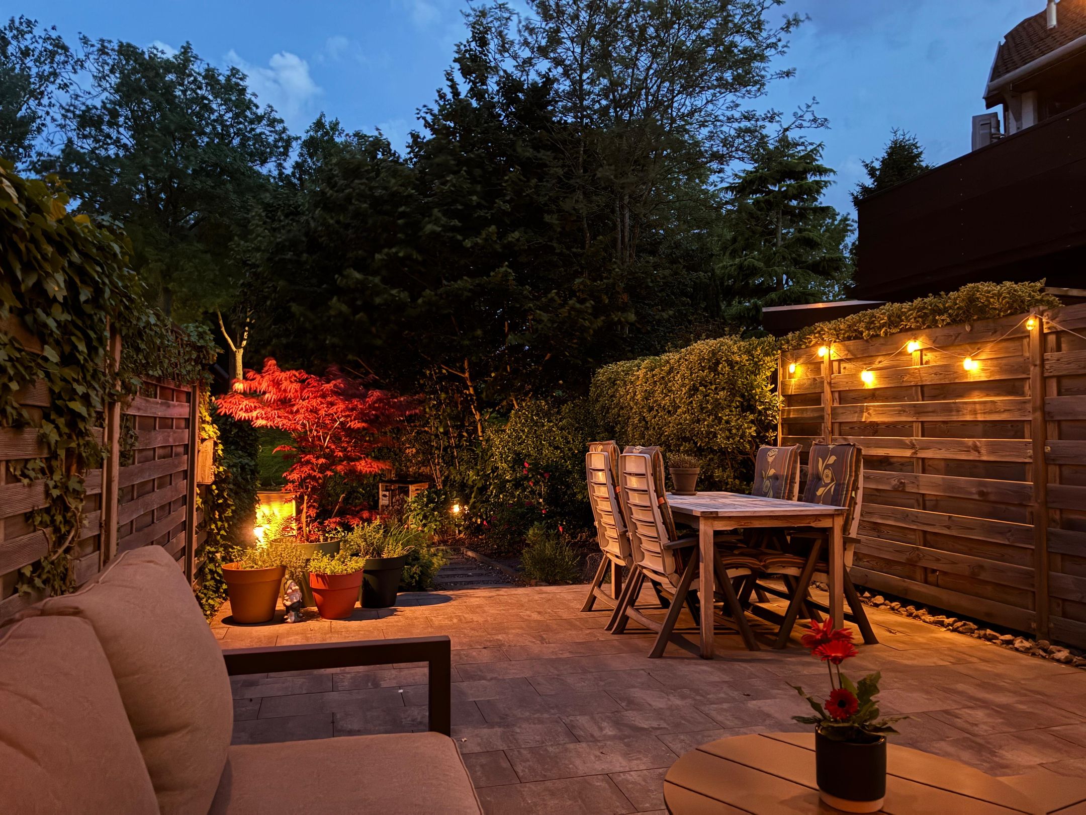 Foto 24 van De Esdoorn 17