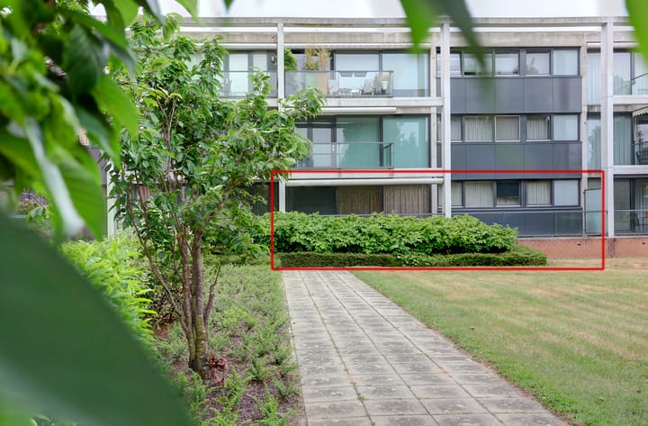 Photo 6 of Dr. Kuyperstraat 32