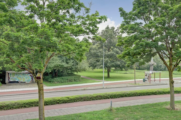 Foto 22 van Statenlaan 16