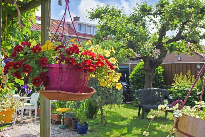 Foto 38 van Willem Klooslaan 50