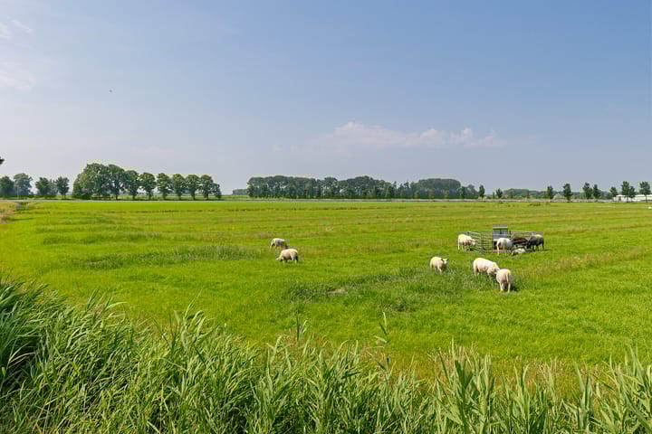 Foto 59 van Dorpsstraat 83