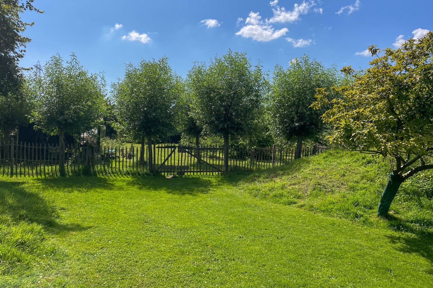 Foto 65 van Plataanweg 19