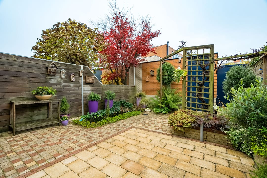 Foto 23 van Johannes Vermeerhage 15