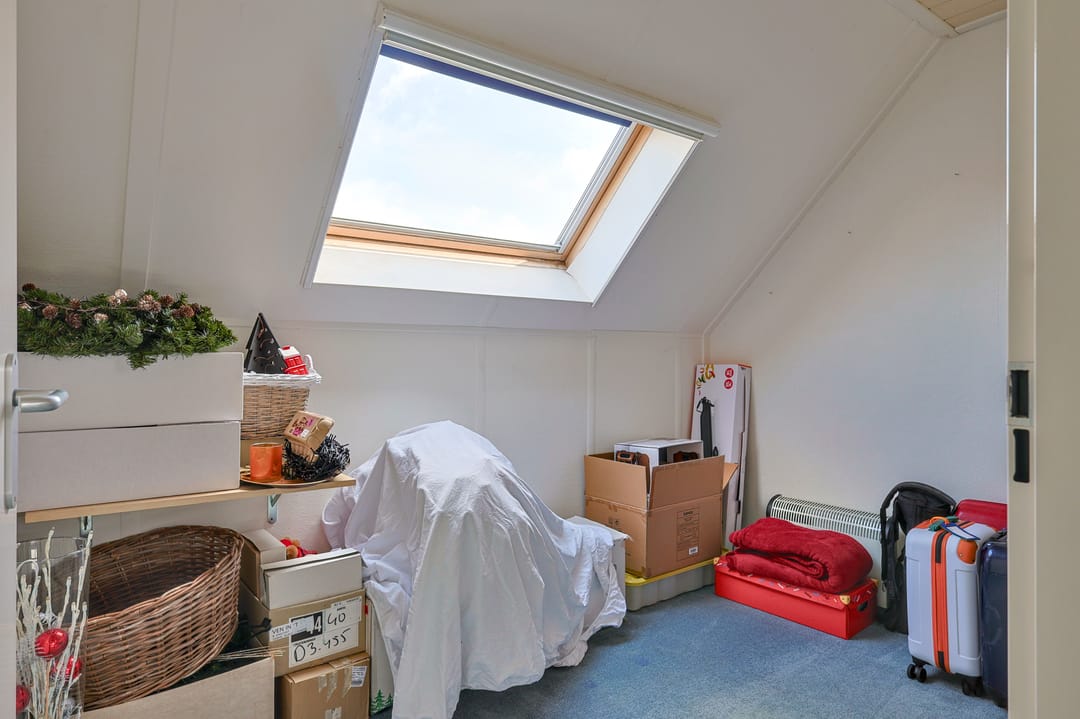 Foto 23 van Vrouwenmantel 1