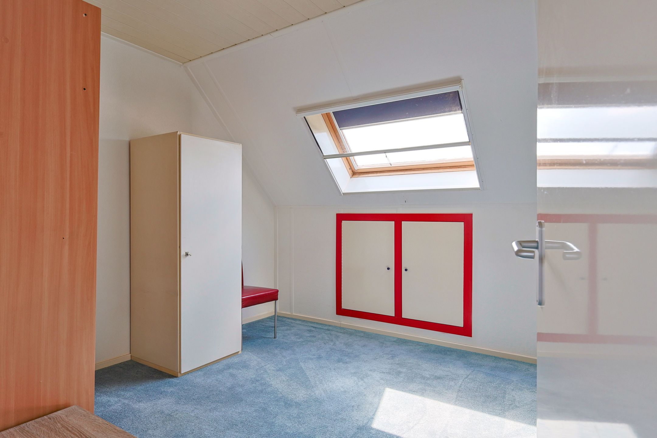 Foto 24 van Vrouwenmantel 1