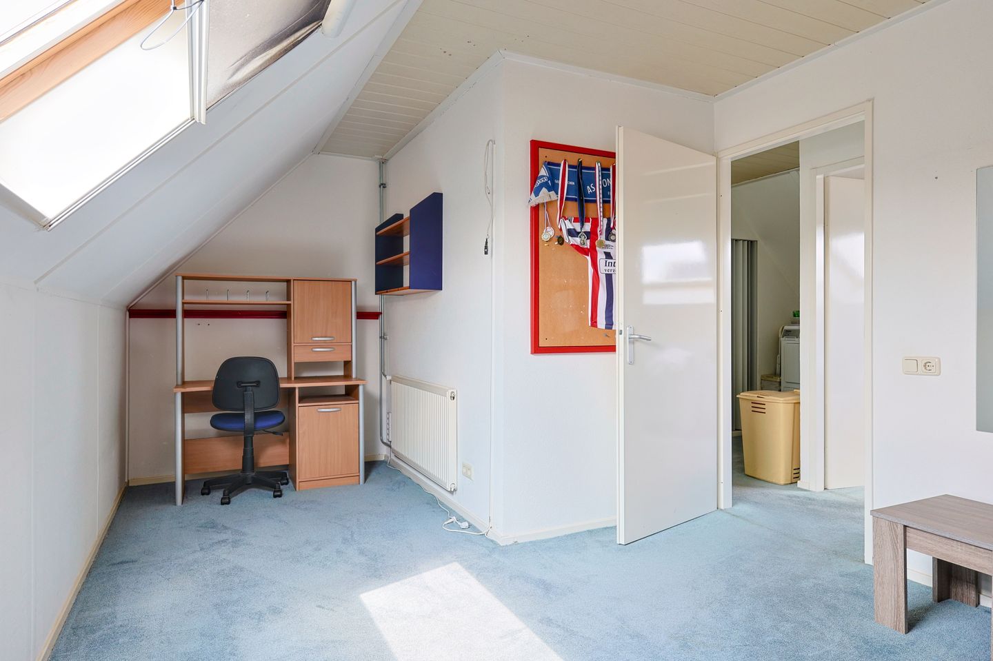 Foto 25 van Vrouwenmantel 1