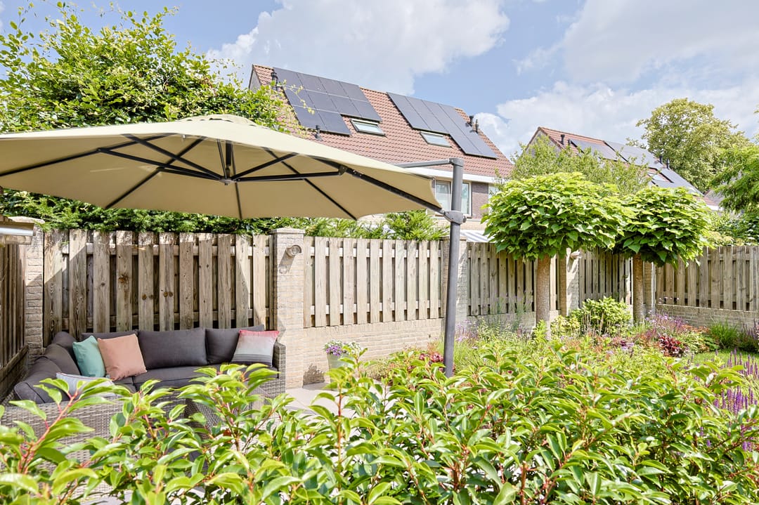 Foto 28 van Vrouwenmantel 1