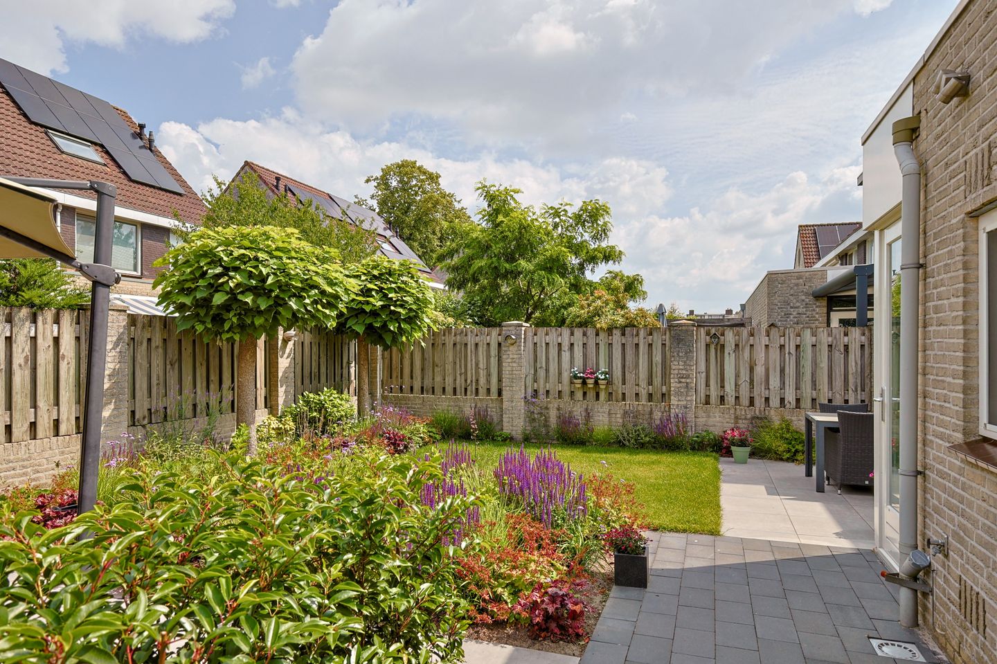 Foto 29 van Vrouwenmantel 1