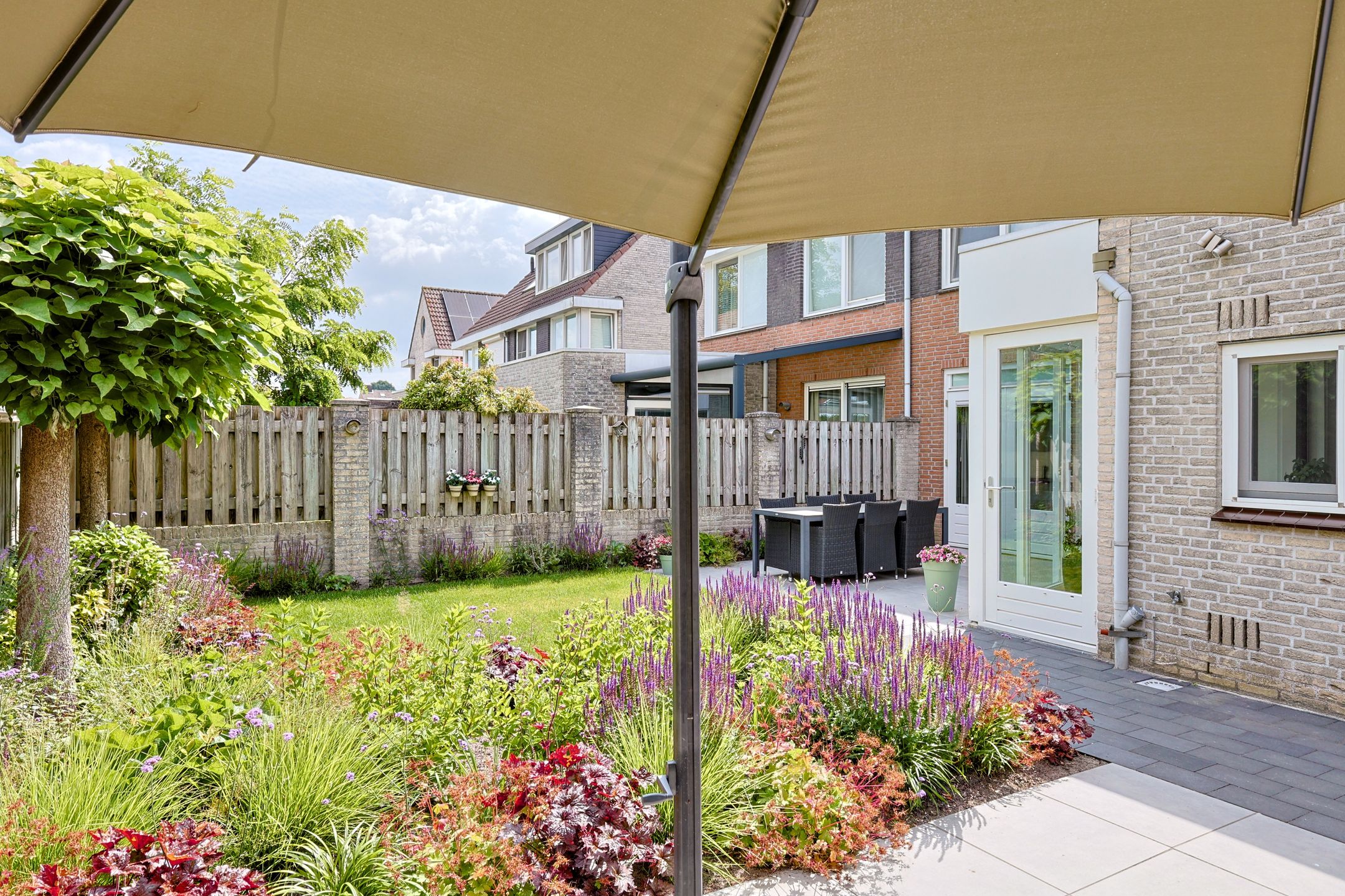 Foto 30 van Vrouwenmantel 1