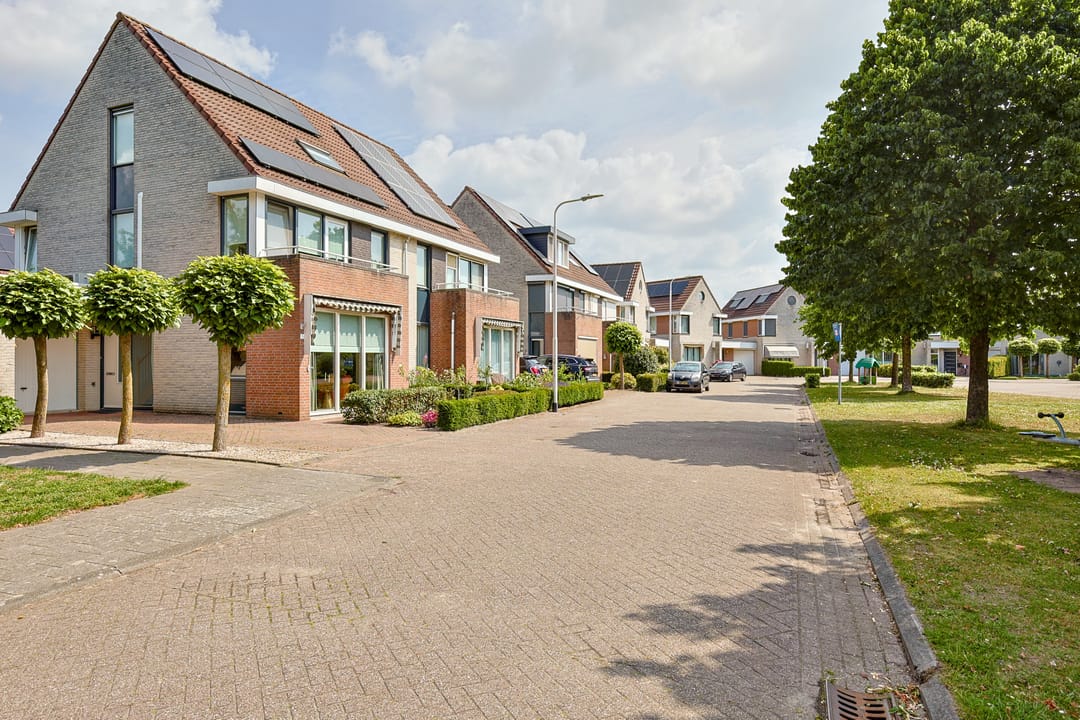 Foto 32 van Vrouwenmantel 1