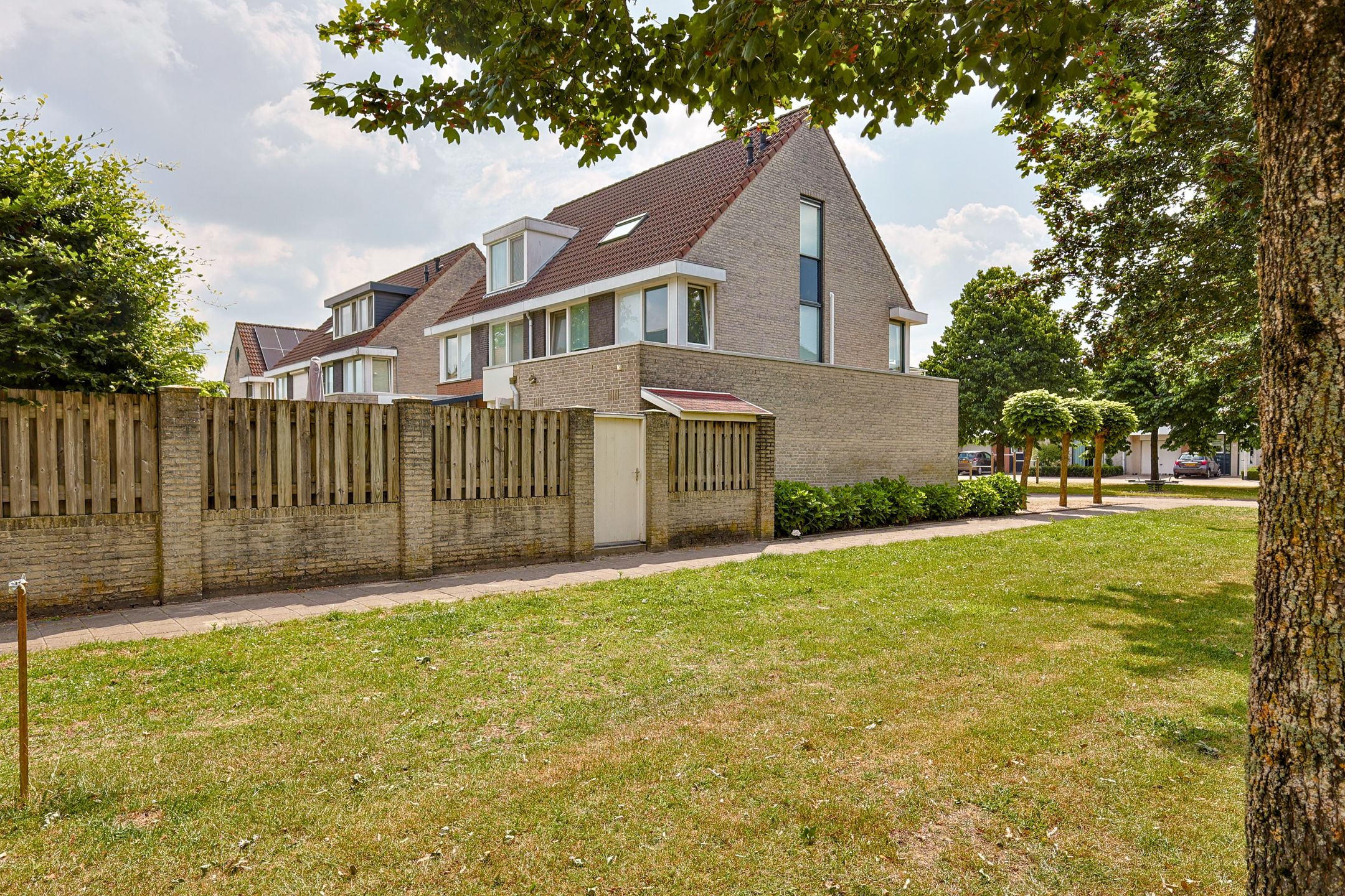 Foto 33 van Vrouwenmantel 1