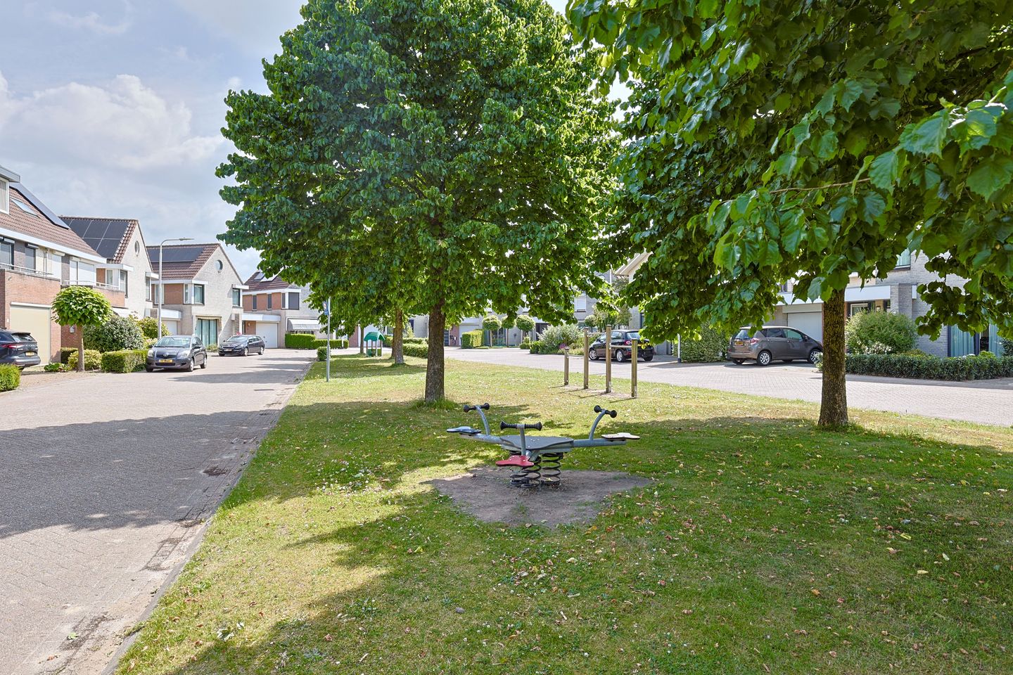 Foto 34 van Vrouwenmantel 1