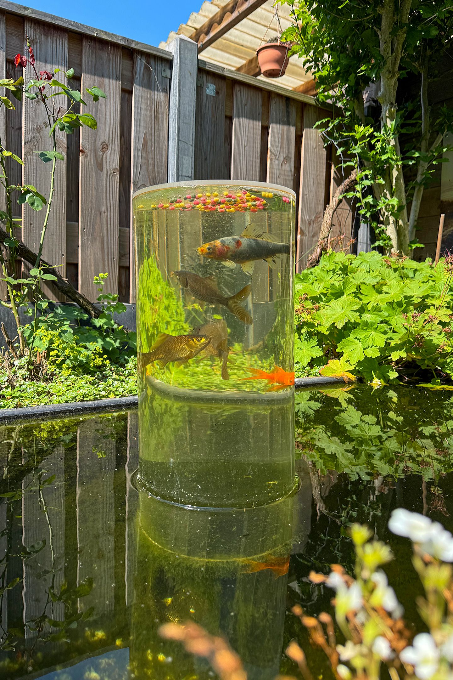 Foto 33 van Gudumholm 23