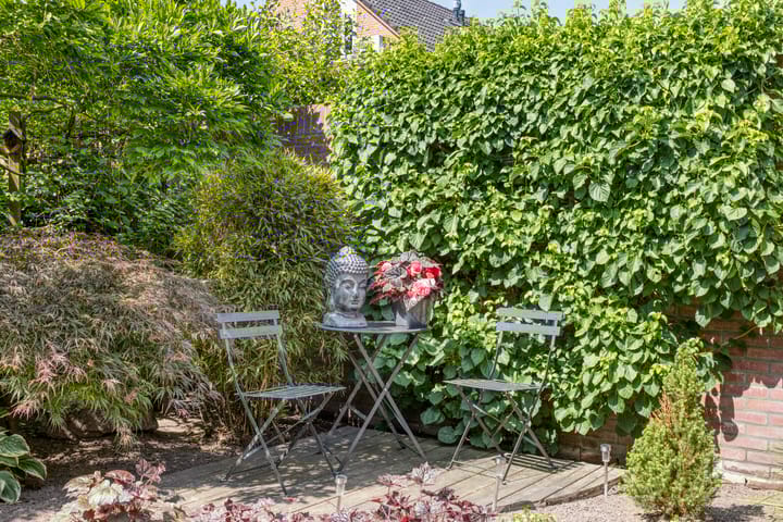 Foto 36 van Donkeren Dijk 13