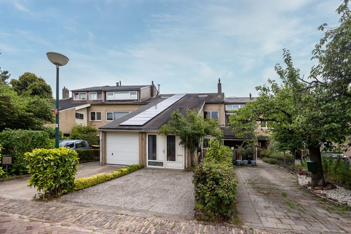 Foto 1 van Kokmeeuw 13