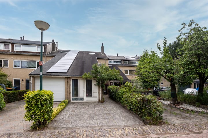 Foto 2 van Kokmeeuw 13