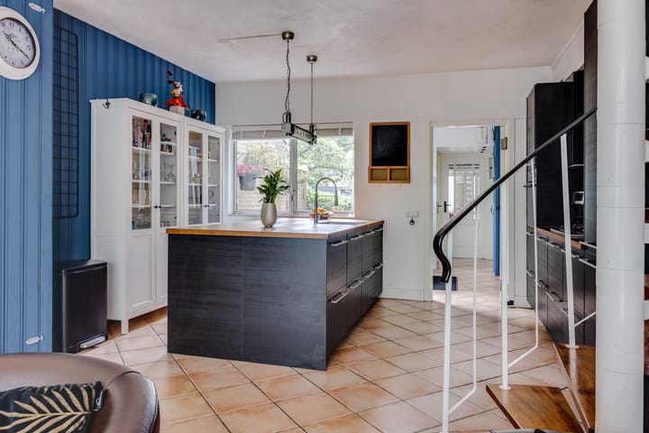 Foto 12 van Kokmeeuw 13