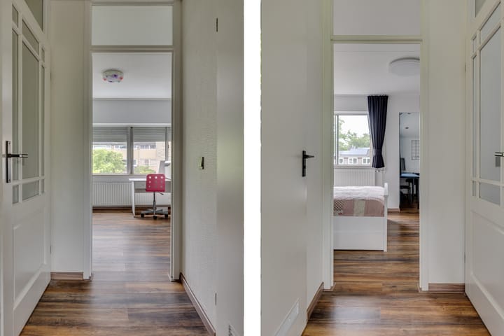 Foto 17 van Kokmeeuw 13