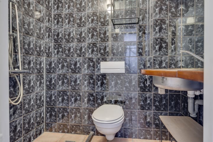 Foto 22 van Kokmeeuw 13