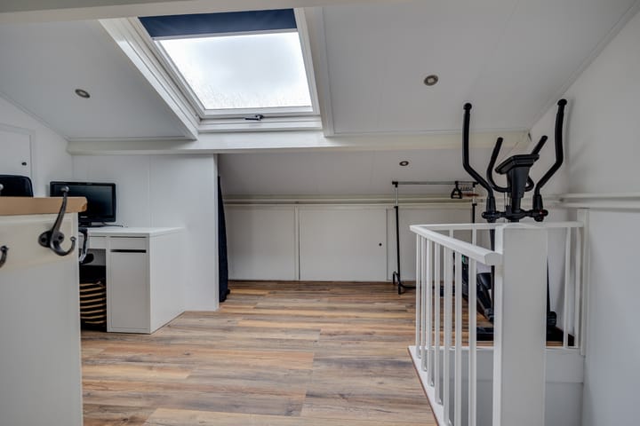 Foto 24 van Kokmeeuw 13