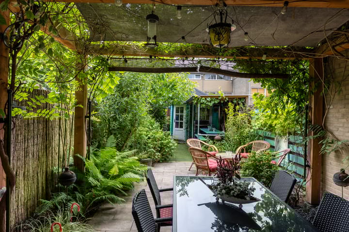 Foto 28 van Kokmeeuw 13